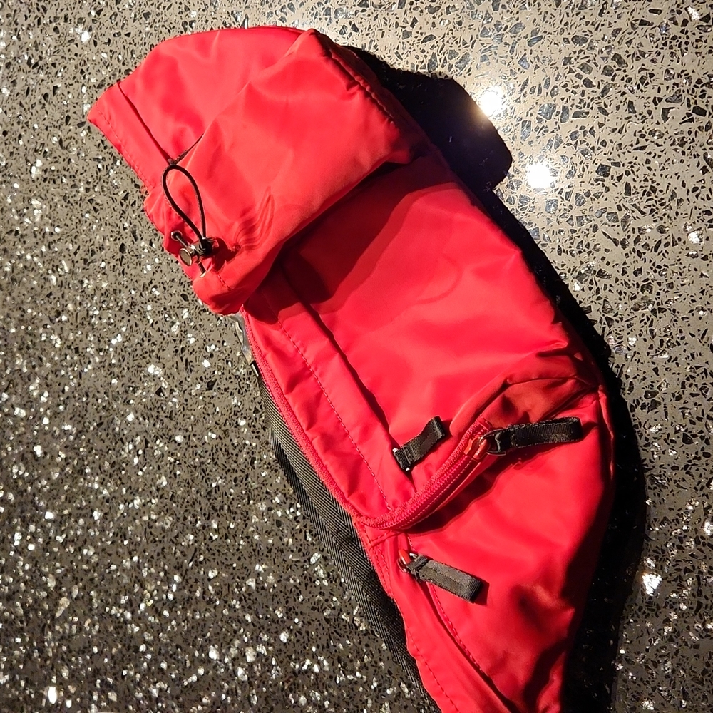 Belt bag fannypack TNA Aritzia